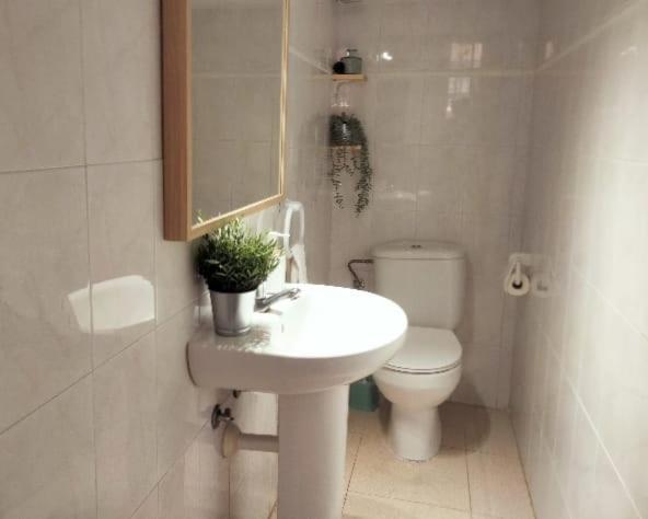 ホテル La Casita アロナ エクステリア 写真