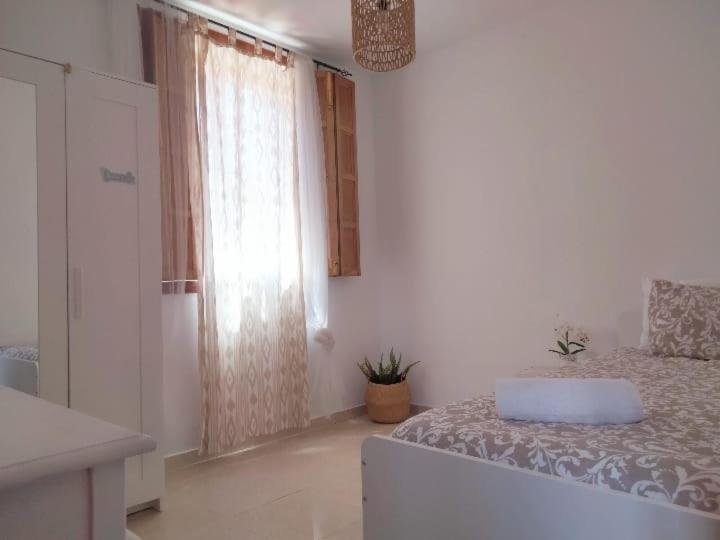 ホテル La Casita アロナ エクステリア 写真