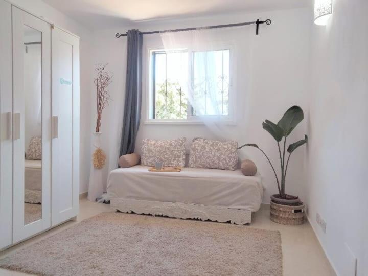 ホテル La Casita アロナ エクステリア 写真